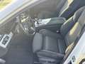 BMW 530 d xDrive M-Sportpaket H-K Sound/Panorama Blanc - thumbnail 17