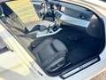 BMW 530 d xDrive M-Sportpaket H-K Sound/Panorama Blanc - thumbnail 14