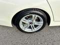 BMW 530 d xDrive M-Sportpaket H-K Sound/Panorama Blanc - thumbnail 13