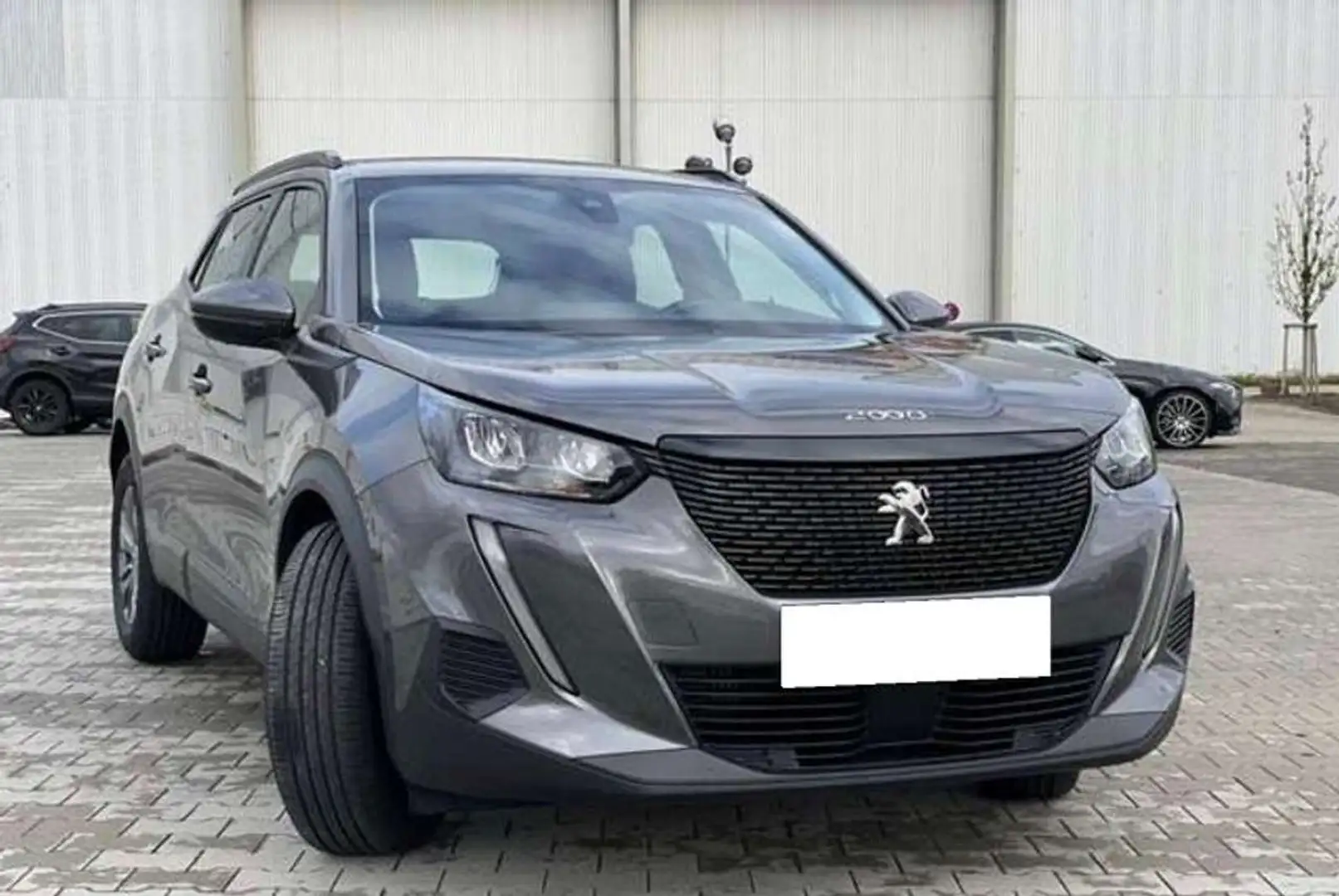 Peugeot 2008 1.2 puretech Active Pack s&s 100cv Grigio - 1