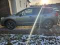 Subaru XV XV 2,0DL Edition Austria Edition Austria Grün - thumbnail 4