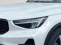 Volvo XC40 B4 Plus Dark AHK 360°Kam E-Sitz ACC adLE Bianco - thumbnail 6