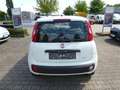 Fiat Panda 1.2 8V Easy Weiß - thumbnail 5