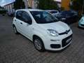 Fiat Panda Easy 1.2 8V + Klima Wit - thumbnail 3