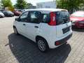 Fiat Panda 1.2 8V Easy Weiß - thumbnail 6