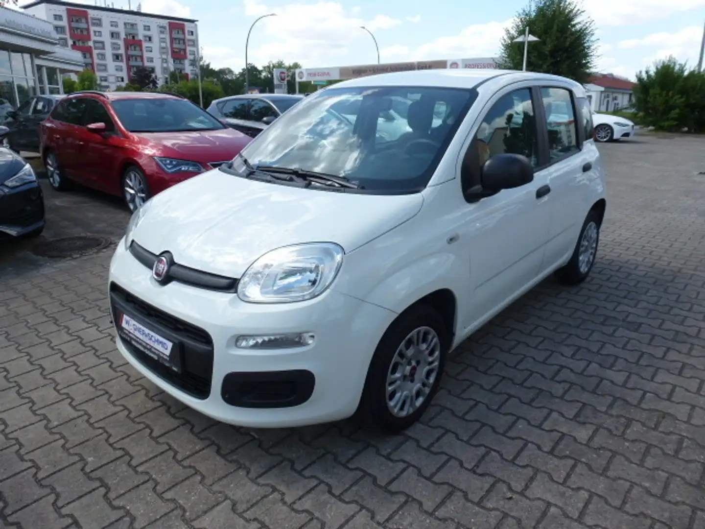 Fiat Panda Easy 1.2 8V + Klima Wit - 1