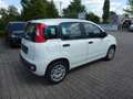 Fiat Panda Easy 1.2 8V + Klima Wit - thumbnail 4