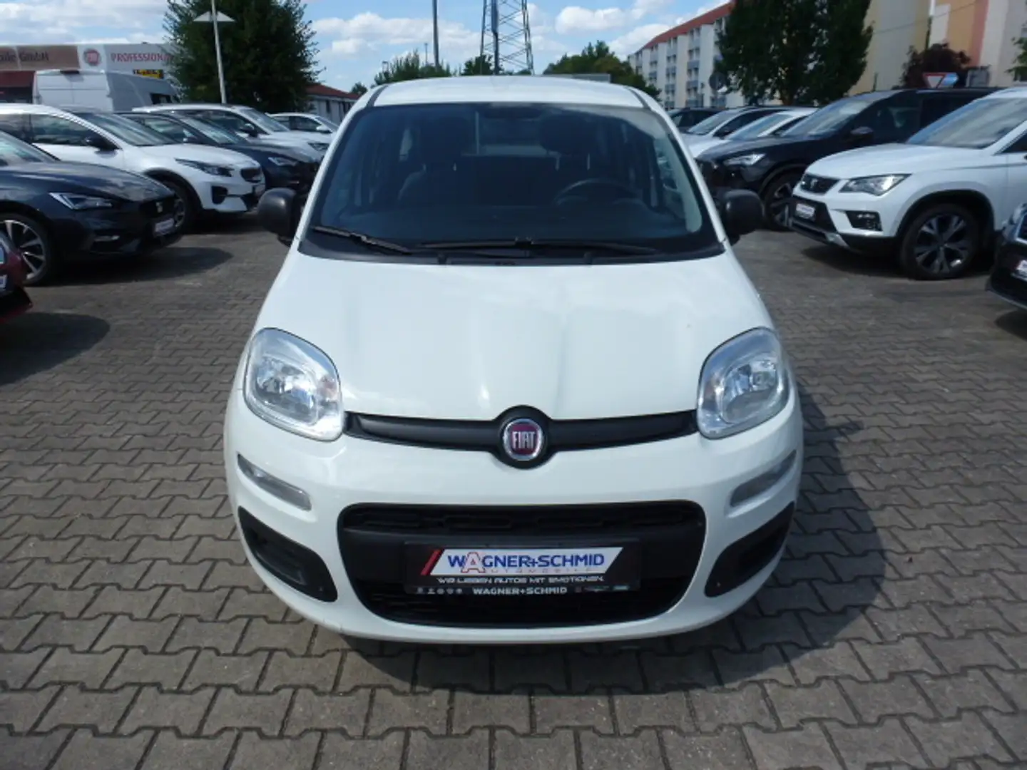 Fiat Panda Easy 1.2 8V + Klima Wit - 2