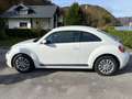 Volkswagen Beetle Beetle 1,4 TSI Sport Sport Weiß - thumbnail 5