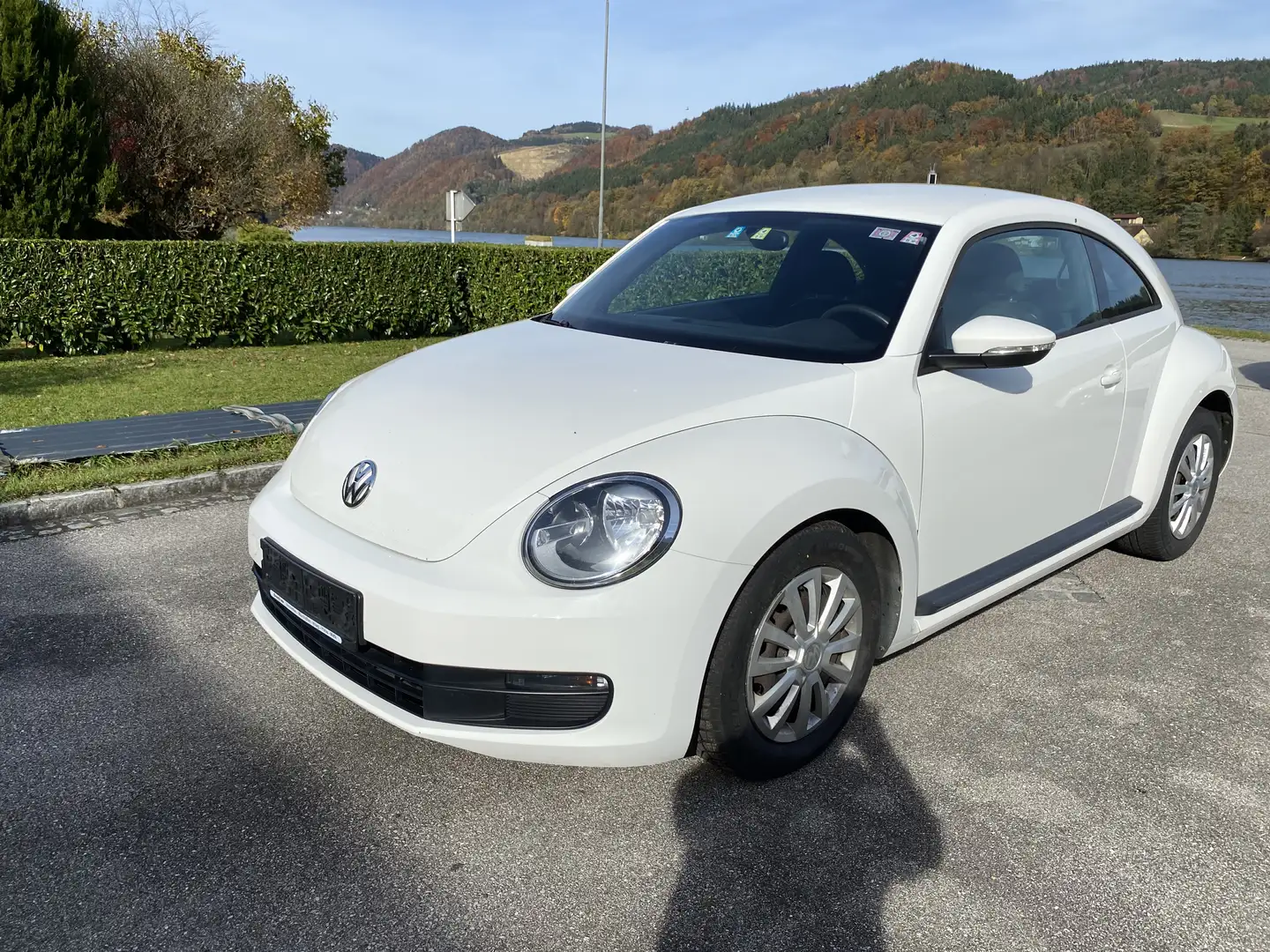 Volkswagen Beetle Beetle 1,4 TSI Sport Sport Weiß - 1