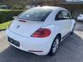 Volkswagen Beetle Beetle 1,4 TSI Sport Sport Weiß - thumbnail 6