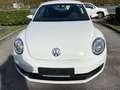 Volkswagen Beetle Beetle 1,4 TSI Sport Sport Weiß - thumbnail 2