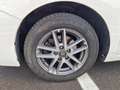 Toyota Verso 1.6 d-4d 5p Meccanica ottima - thumbnail 11