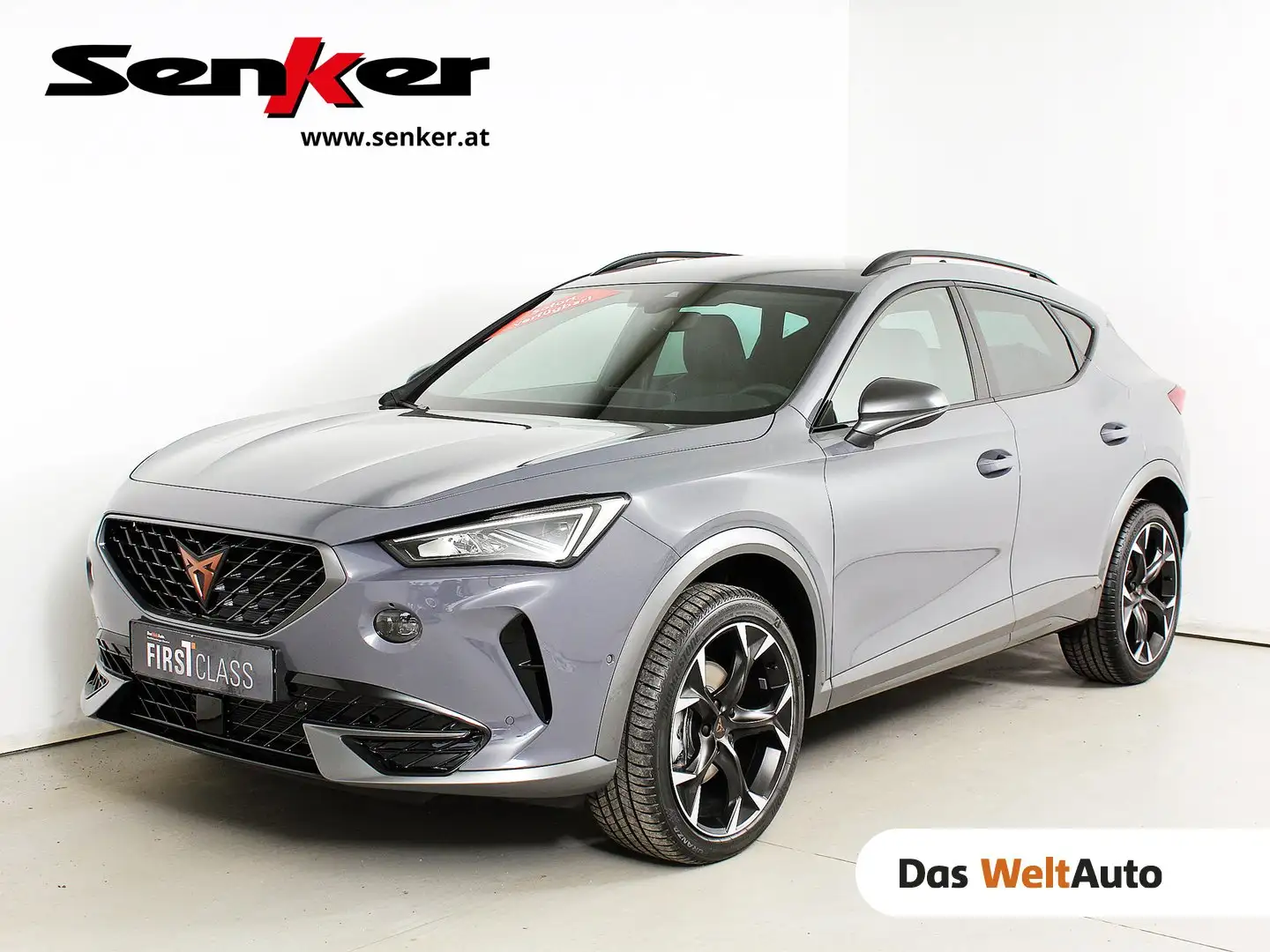 CUPRA Formentor 1.5 TSI 150 PS DSG ACT Grau - 1