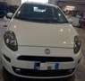 Fiat Punto Bianco - thumbnail 2