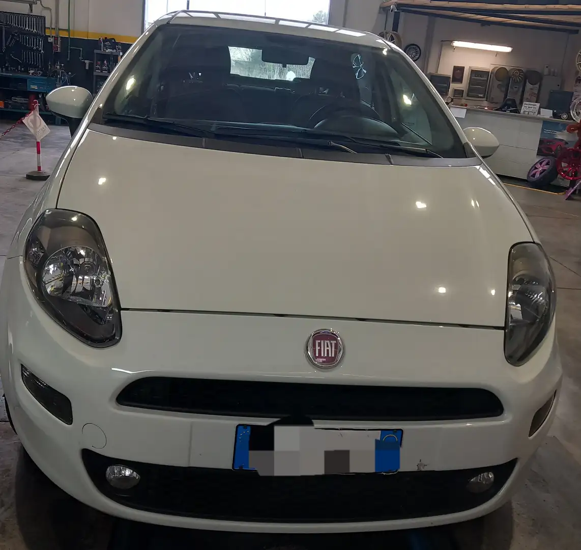 Fiat Punto Bianco - 2