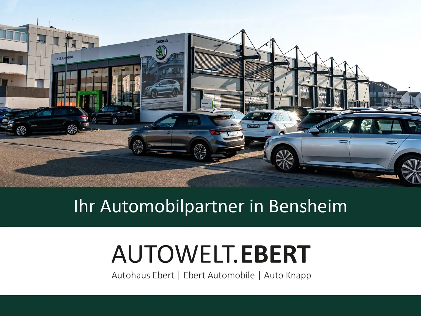 Skoda Elroq 85 Alpha 82 kWh 210 kW/AHK/LED/NAVI/360G Сірий - 2