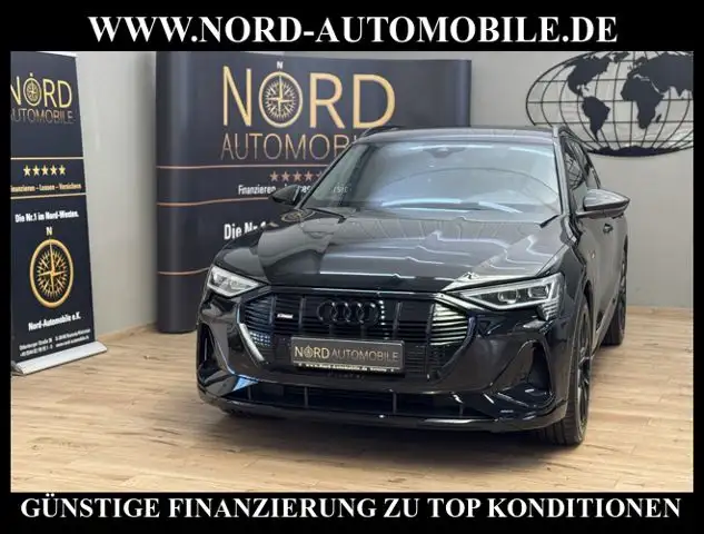 Audi e-tron 50 QU.S-Line Kamera/ACC/Navi/21/Leder S-Line