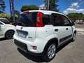 Fiat Panda 1.0 firefly hybrid City Life s Bianco - thumbnail 4