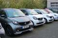 smart forTwo Cabrio EQ BRABUS 22KW Lader 1.Hand Gris - thumbnail 15