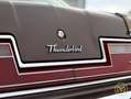 Ford Thunderbird Erstlack, Zweitbesitz, Historie, Service TÜV&H Marrone - thumbnail 9