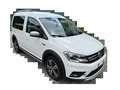 Volkswagen Caddy ALLTRACK 4 MOTION Bianco - thumbnail 2