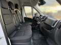 Toyota Proace Max L3H2 Prowork 140PS Heavy Weiß - thumbnail 6