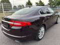 Jaguar XF 2.2 Diesel Autom./Navi+Camera/Leder/SD-Voll! Mauve - thumbnail 12