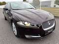Jaguar XF 2.2 Diesel Autom./Navi+Camera/Leder/SD-Voll! Mauve - thumbnail 11