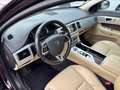Jaguar XF 2.2 Diesel Autom./Navi+Camera/Leder/SD-Voll! Mauve - thumbnail 6