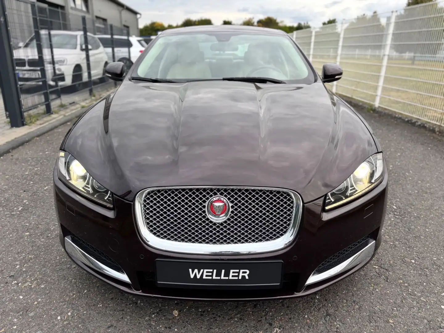 Jaguar XF 2.2 Diesel Autom./Navi+Camera/Leder/SD-Voll! Mauve - 2