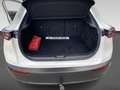 Mazda CX-30 2.0 e-SkyActiv-X M Hybrid Luxury | Trekhaak | Lede Wit - thumbnail 22