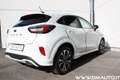 Ford Puma Puma 1.0 ecoboost h ST-Line Bianco - thumbnail 7