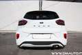 Ford Puma Puma 1.0 ecoboost h ST-Line Bianco - thumbnail 6