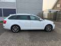 Skoda Octavia Combi 1.2 TSI Greentech JOY Businessline NAV.+ Cli Weiß - thumbnail 34