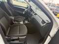 Skoda Octavia Combi 1.2 TSI Greentech JOY Businessline NAV.+ Cli Weiß - thumbnail 12