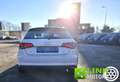 Audi A3 SPB 1.6 TDI clean diesel Ambition Weiß - thumbnail 3