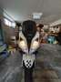 Kymco Xciting 300i Bianco - thumbnail 2