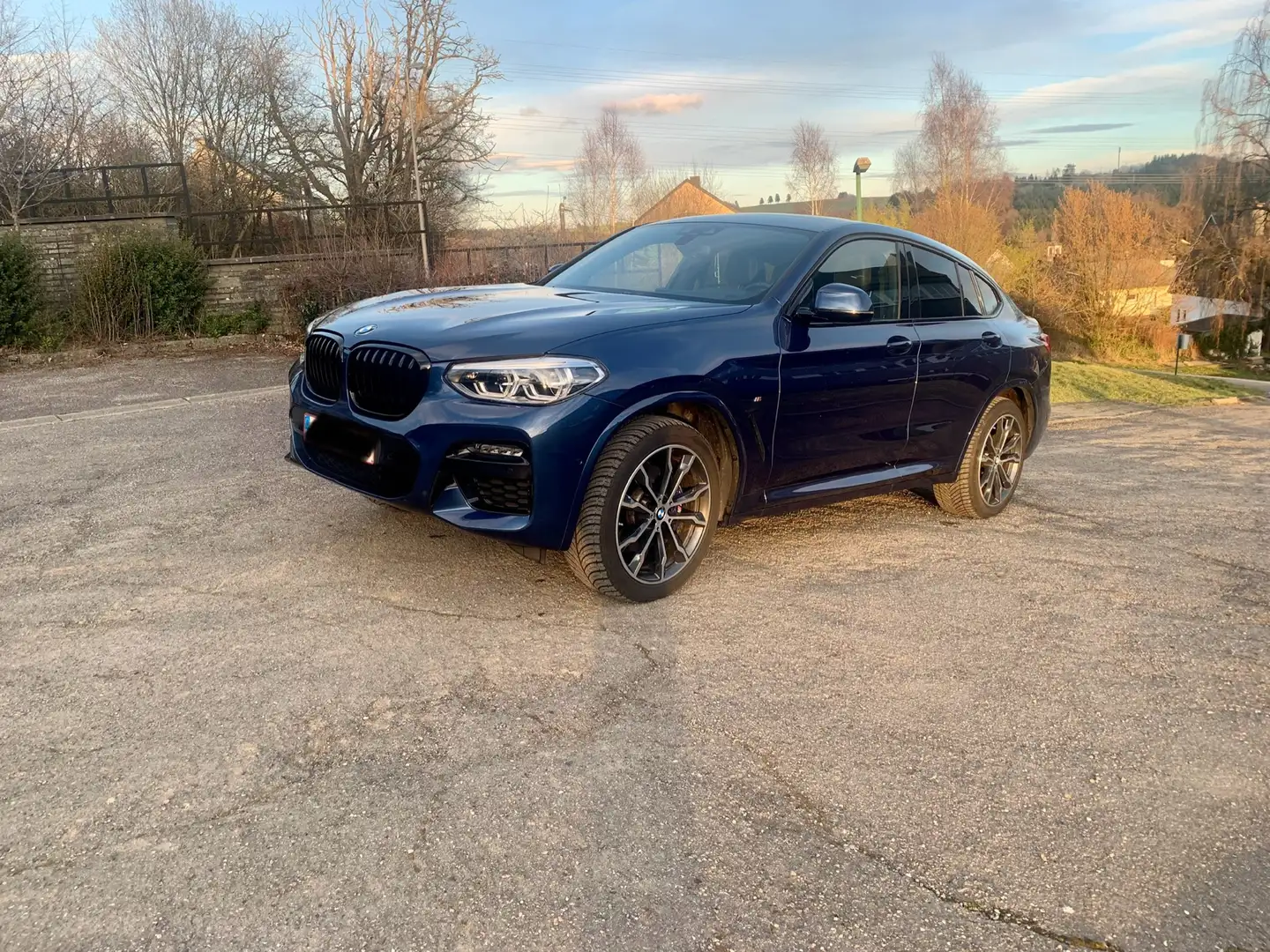 BMW X4 2.0 dA xDrive20 Pack M toit Pano Bleu - 1