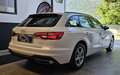 Audi A4 Avant 30 2.0 Tdi Mhev 136cv S-Tronic Bianco - thumbnail 7
