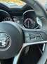 Alfa Romeo Stelvio 2.0 Executive AWD Aut. 280 Blauw - thumbnail 14