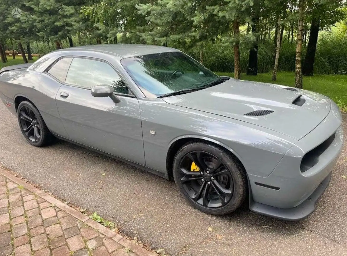 Dodge Challenger Gris - 2