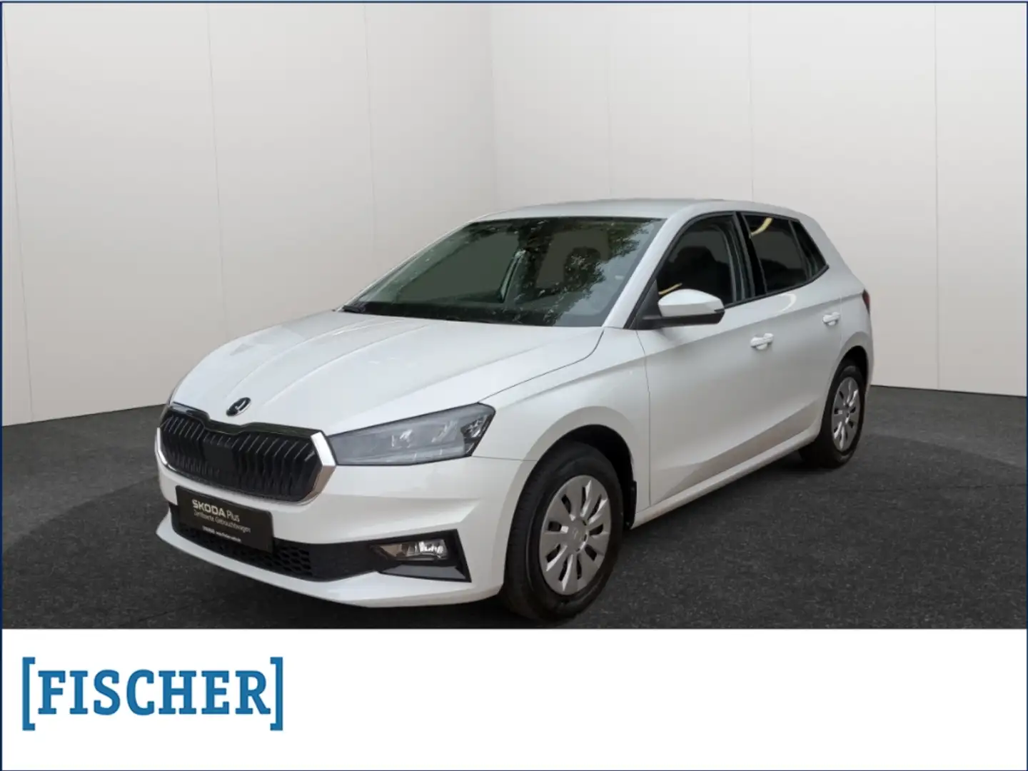 Skoda Fabia 1.0TSI Selection LED Carplay SHZ GRA PDC hinten Weiß - 1
