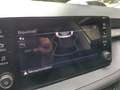 Skoda Fabia 1.0TSI Selection LED Carplay SHZ GRA PDC hinten Weiß - thumbnail 15