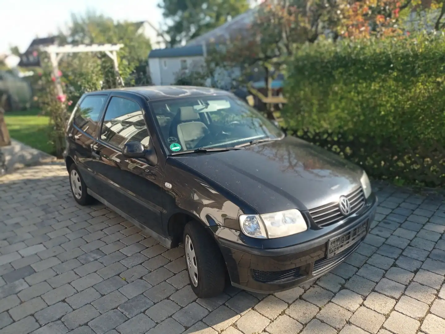 Volkswagen Polo - 1