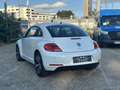 Volkswagen Beetle The 1.2 TSI r line - thumbnail 5