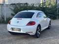 Volkswagen Beetle The 1.2 TSI r line - thumbnail 3