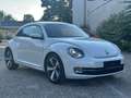 Volkswagen Beetle The 1.2 TSI r line - thumbnail 1