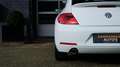 Volkswagen Beetle 2.0 TSI Sport 200PK DSG CRUISE LEDER NAVI FENDER Blanc - thumbnail 20