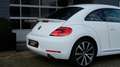 Volkswagen Beetle 2.0 TSI Sport 200PK DSG CRUISE LEDER NAVI FENDER Blanc - thumbnail 28